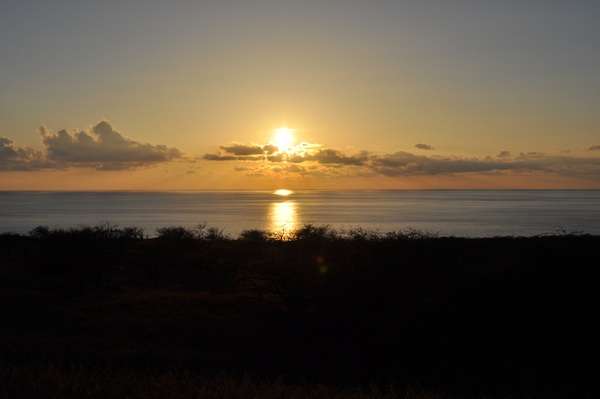 نرم روشنی میں پُرسکون قدرتی منظر